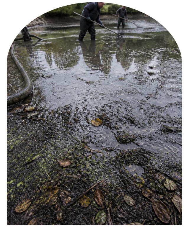 Очистка пруда в Кореновске от ила мусора и водорослей с вывозом